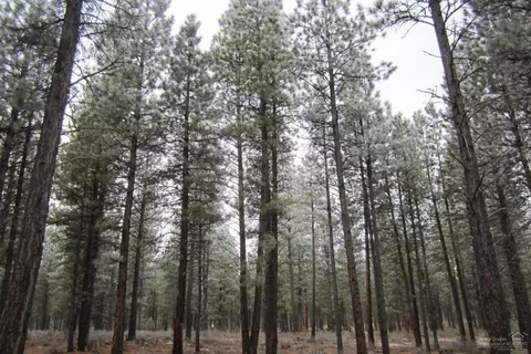 16415 Stage Stop Dr, Bend, OR 97707 photo 7