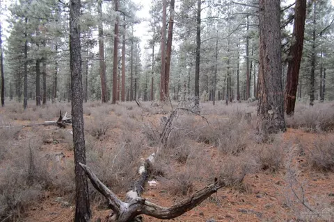 16415 Stage Stop Dr, Bend, OR 97707 photo 2