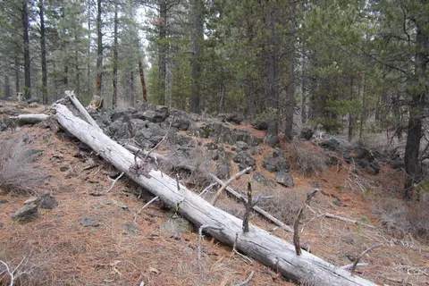 16415 Stage Stop Dr, Bend, OR 97707 photo 3