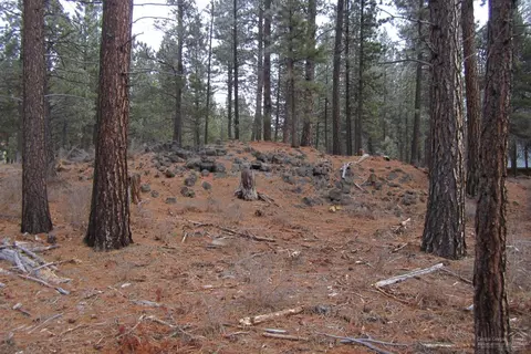 16415 Stage Stop Dr, Bend, OR 97707 photo 10