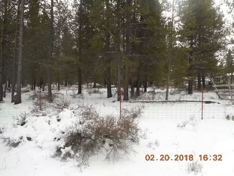 16261 Pine Drop Ln, La Pine, OR 97739 photo 3