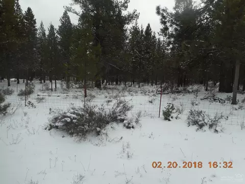 16261 Pine Drop Ln, La Pine, OR 97739 photo 5
