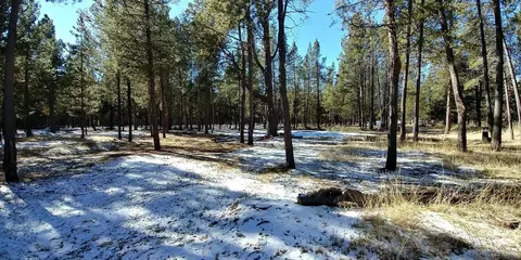55748 Cone Pl, Bend, OR photo 24