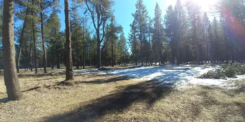 55748 Cone Pl, Bend, OR photo 17
