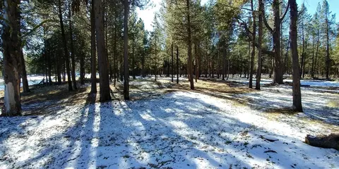 55748 Cone Pl, Bend, OR photo 25
