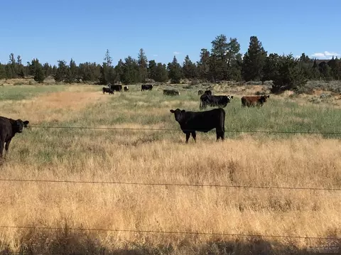 21475 Gift Rd, Bend, OR 97701 photo 20