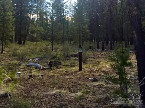 56272 Sable Rock Loop Loop, Bend, OR 97707 photo 3
