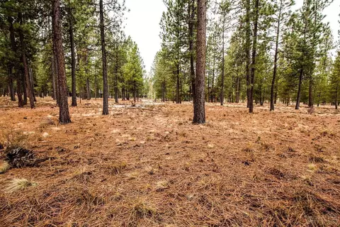 56413 Fireglass Loop, Bend, OR 97707 photo 7