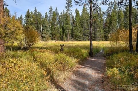17178 Island Loop Way, Bend, OR 97707 photo 19