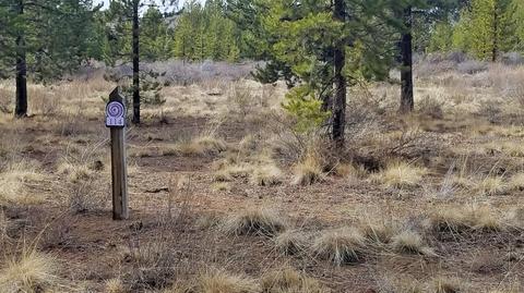 56499 Sunstone Loop, Bend, OR 97707 photo 4
