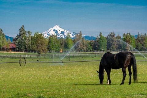 64850 Collins Rd, Bend, OR 97703 photo 4
