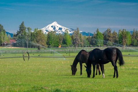 64850 Collins Rd, Bend, OR 97703 photo 1