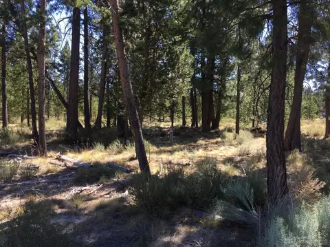 56682 Glowstone Loop, Bend, OR 97007 photo 4