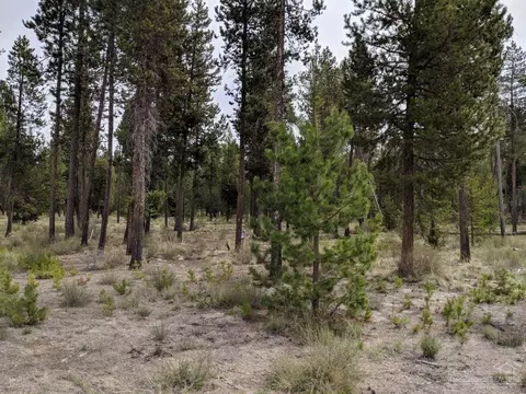 56474 Sunstone Loop, Bend, OR 97707 photo 8