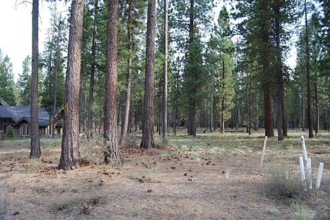 56371 Fireglass Loop, Bend, OR 97707 photo 2