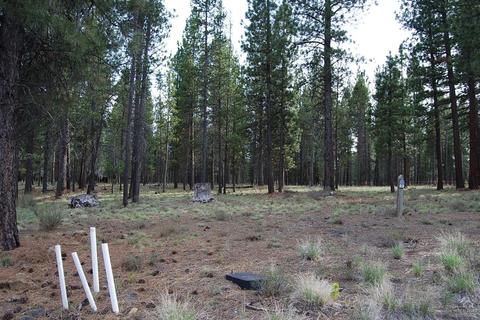 56371 Fireglass Loop, Bend, OR 97707 photo 3