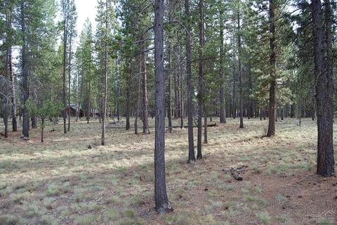 56371 Fireglass Loop, Bend, OR 97707 photo 4