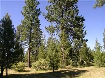 16233 Bear Ln, Bend, OR 97707 photo 3