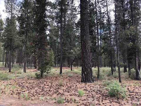 56245 Sable Rock Loop, Bend, OR 97707 photo 2