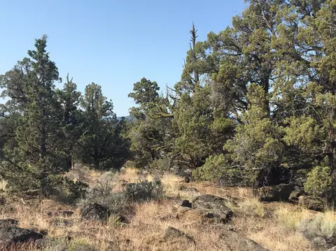 65350 93rd Pl, Bend, OR 97703 photo 12
