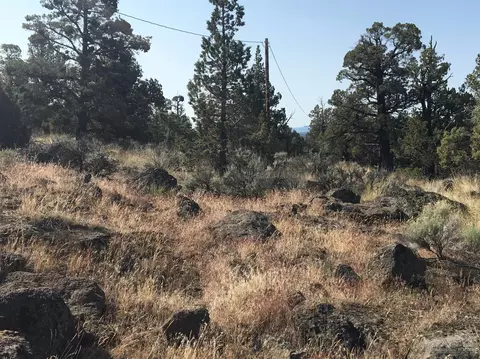 65350 93rd Pl, Bend, OR 97703 photo 13