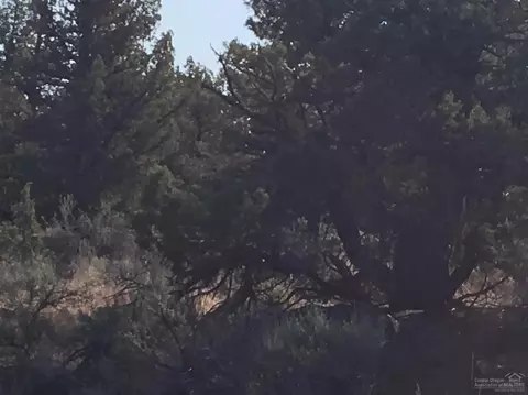 65350 93rd Pl, Bend, OR 97703 photo 8