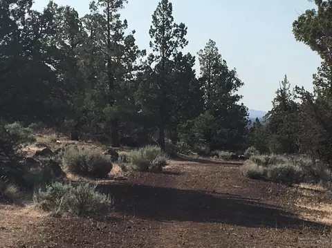 65350 93rd Pl, Bend, OR 97703 photo 17