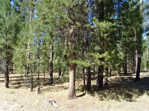 50834 Fawn Loop Dr, La Pine, OR 97739 photo 17