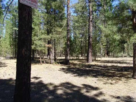 50834 Fawn Loop Dr, La Pine, OR 97739 photo 4