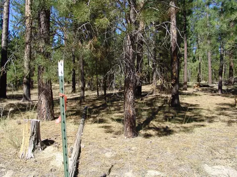 50834 Fawn Loop Dr, La Pine, OR 97739 photo 12