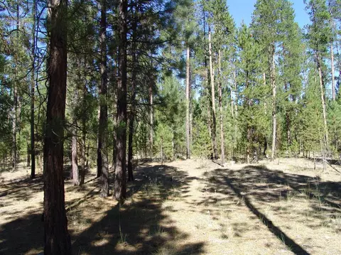 50834 Fawn Loop Dr, La Pine, OR 97739 photo 9