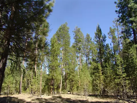 50834 Fawn Loop Dr, La Pine, OR 97739 photo 11