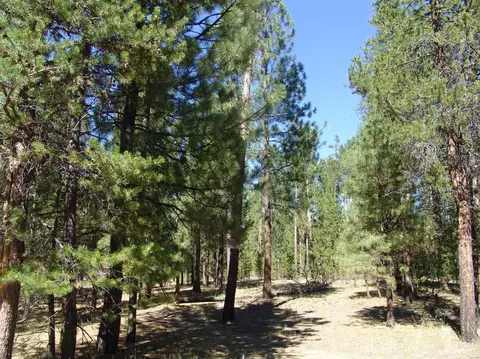 50834 Fawn Loop Dr, La Pine, OR 97739 photo 18