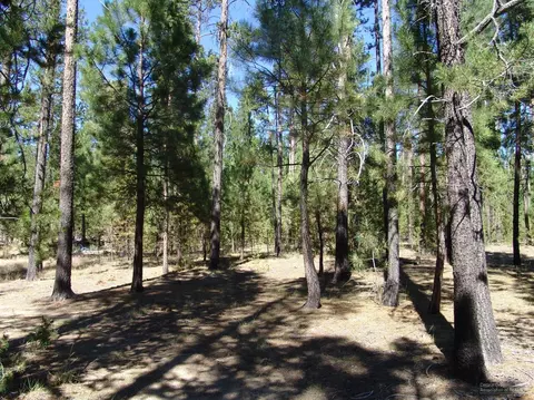 50834 Fawn Loop Dr, La Pine, OR 97739 photo 5