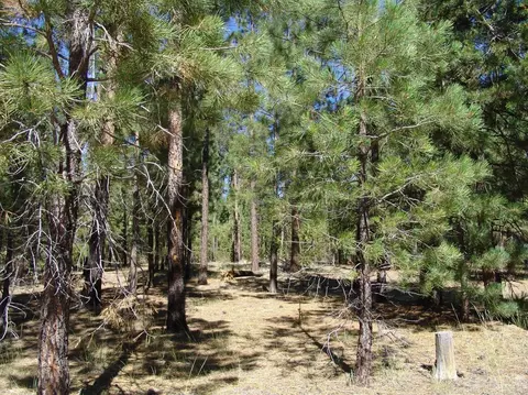 50834 Fawn Loop Dr, La Pine, OR 97739 photo 13