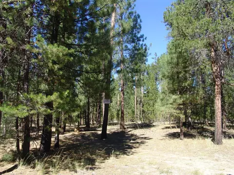 50834 Fawn Loop Dr, La Pine, OR 97739 photo 16