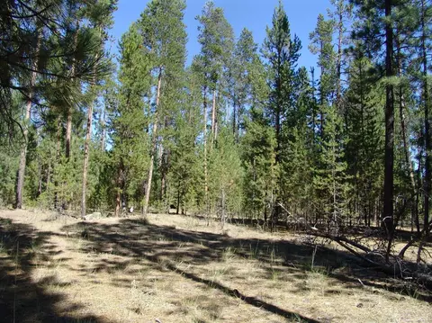 50834 Fawn Loop Dr, La Pine, OR 97739 photo 10