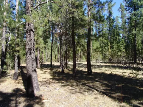 50834 Fawn Loop Dr, La Pine, OR 97739 photo 6