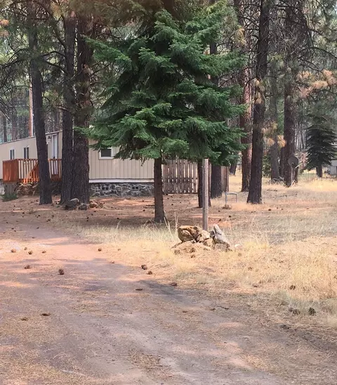 60154 Turquoise Rd, Bend, OR 97702 photo 9