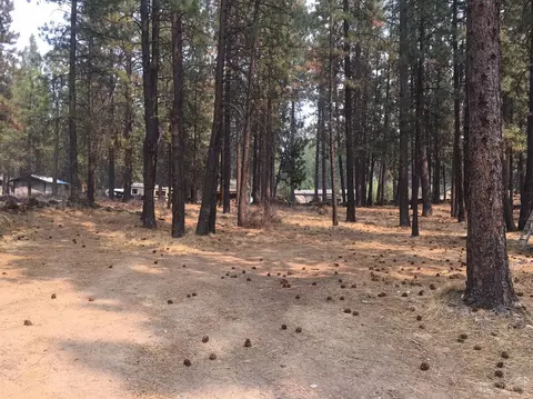 60154 Turquoise Rd, Bend, OR 97702 photo 10