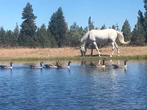 67450 Cloverdale Rd, Bend, OR 97703 photo 24