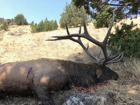 33559 Parish Creek Rd, Mitchell, OR 97750 photo 11