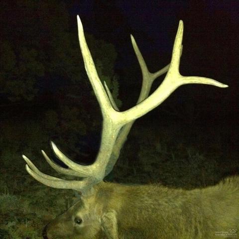 33559 Parish Creek Rd, Mitchell, OR 97750 photo 5