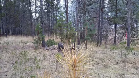 56135 Solar Dr, Bend, OR 97707 photo 3