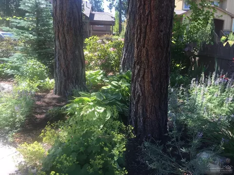 61442 Davis Lake Loop, Bend, OR 97702 photo 22