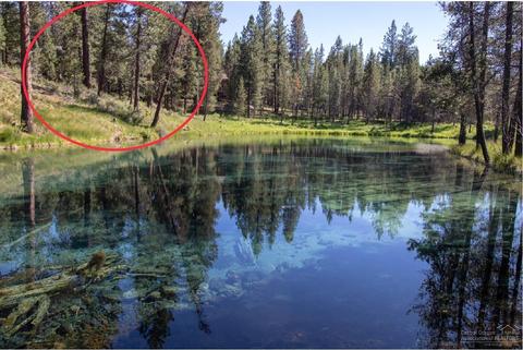 17008 Cooper Dr, Bend, OR 97707 photo 16