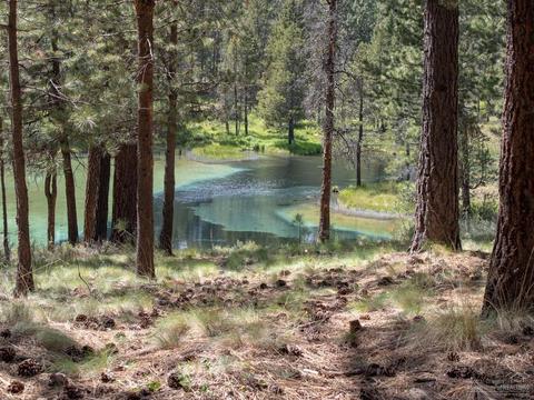 17008 Cooper Dr, Bend, OR 97707 photo 2