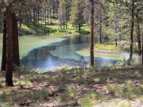 17008 Cooper Dr, Bend, OR 97707 photo 3