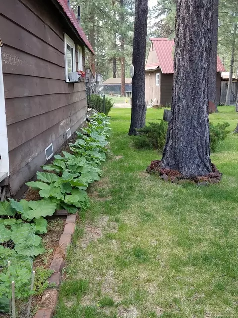 16332 Whitetail Ln, Bend, OR 97707 photo 5