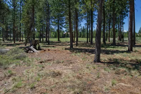 56691 Glowstone Loop, Bend, OR 97707 photo 3